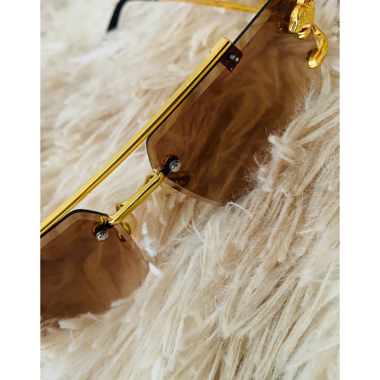 Roaring Wildcat Sunglasses