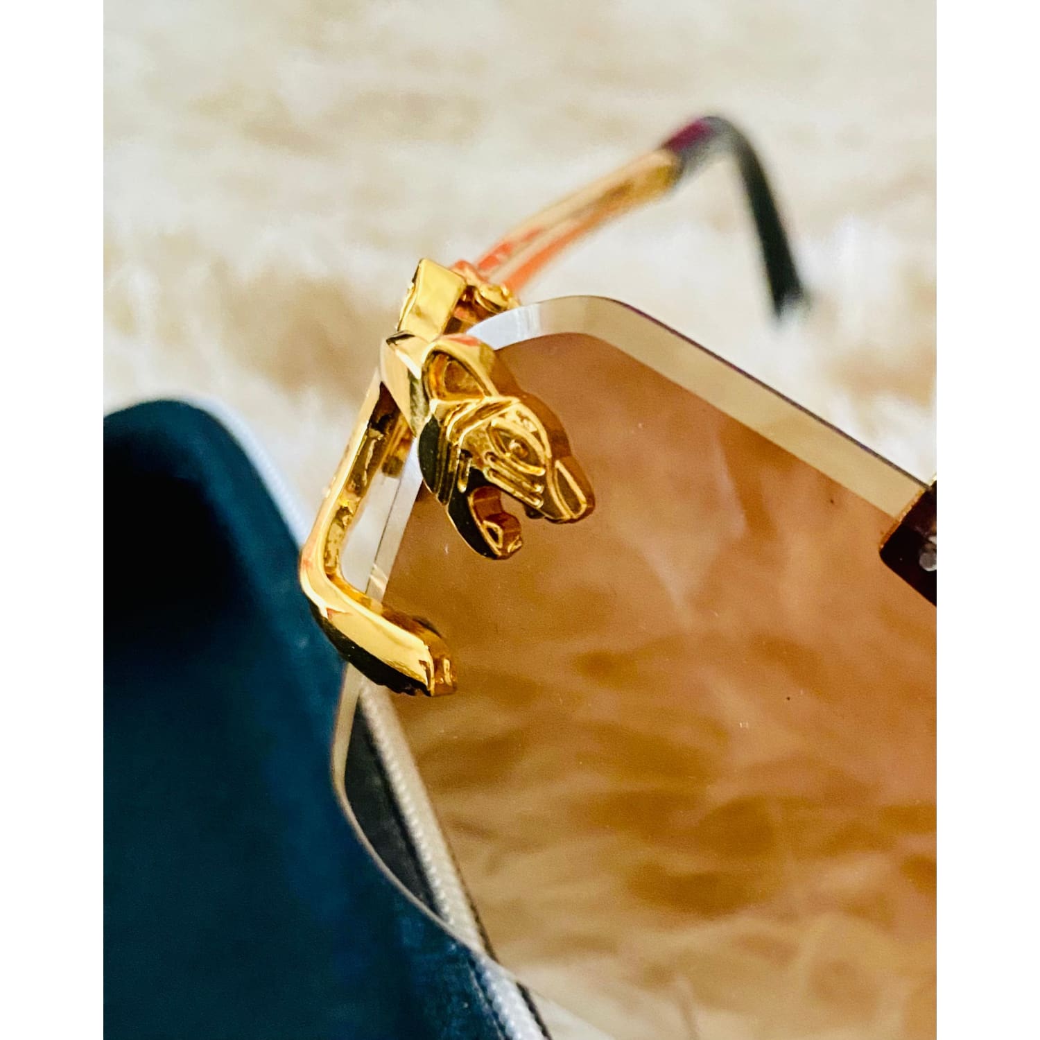 Roaring Wildcat Sunglasses